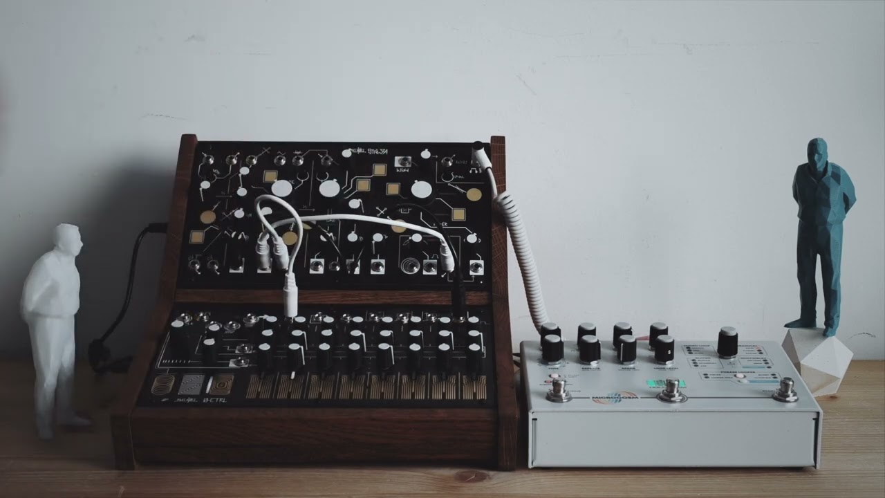 Make Noise Strega and Hologram Electronics Microcosm