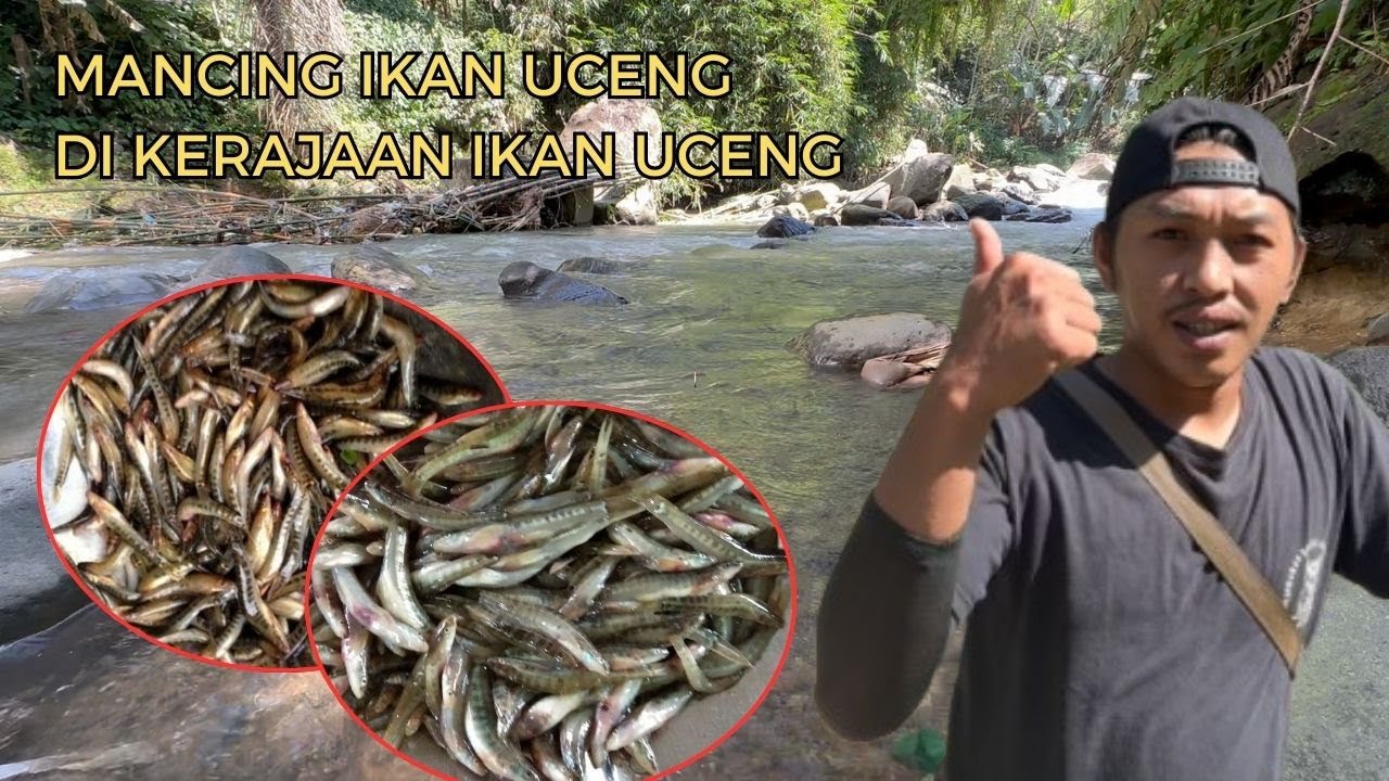 ORA UMUM!!! MANCING IKAN UCENG DI WONOSOBO | MICRO FISHING