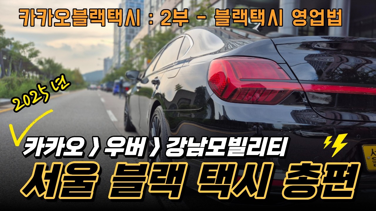 서울 카카오 블랙 택시 1년의 현장경험을 있는 그대로 말한다