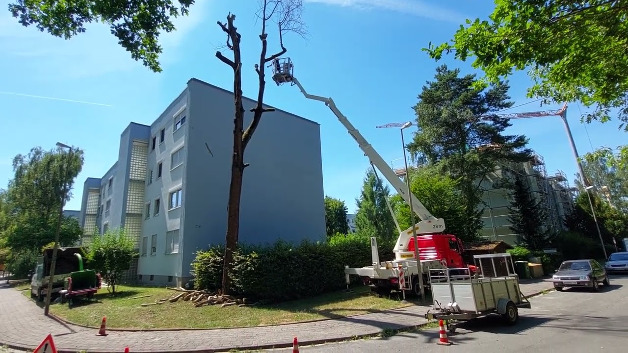 Baumdienst Döge Hubsteiger Bison Palfinger TKA 28