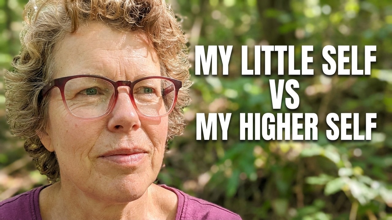 My Little Self vs My Higher Self | The Real Conflict