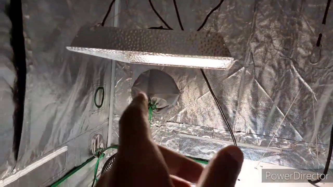 Herbies Seedbank Mail Unboxing & Mars Hydro TS600 Unboxing