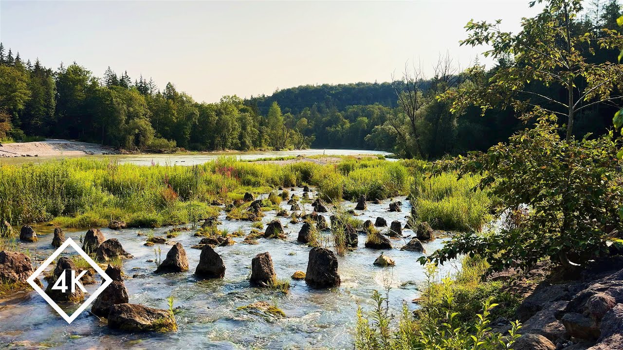 Успокаивающие звуки реки для глубокого сна (без птиц): водная атмосфера для снятия стресса | 4K ASMR