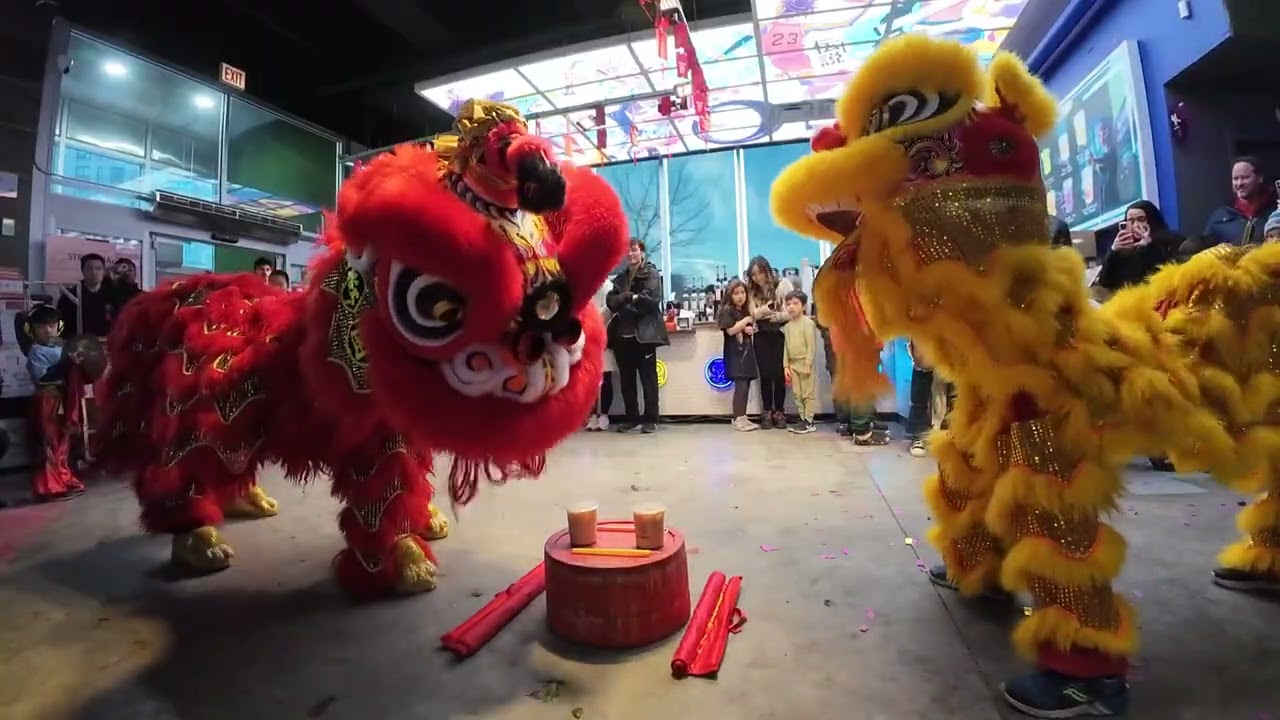 2025 Gangnam Market & Food Hall | Lunar New Year | Year of the Snake | Yu&rsquo;s Lion Dance Chicago