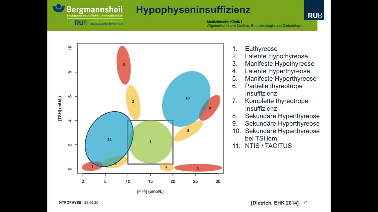 Ruhr-Universität Bochum: Erkrankungen der Hypophyse 2020