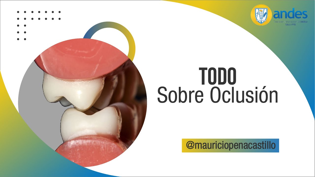 Lo que DEBES saber sobre OCLUSIÓN DENTAL I ANDES DTC