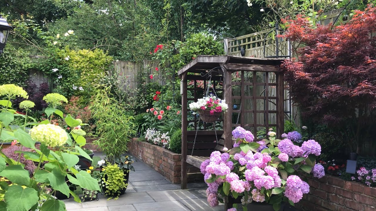 Early July small garden update 🪴🌸 8/7/2024