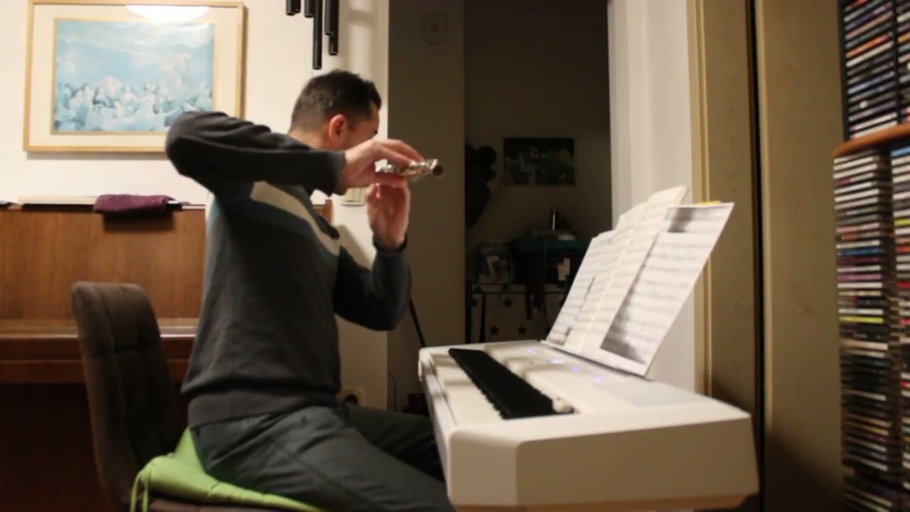 Budau/Robežnik: Na pragu let (flute & piano cover)