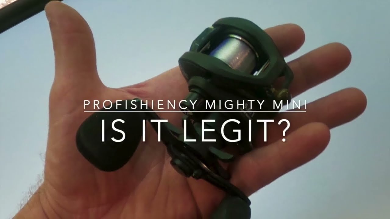 profishiency