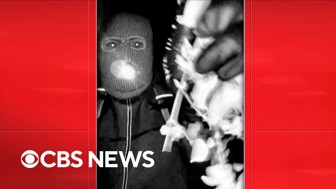 Experts, reporting breaks down surveillance video in Nancy Guthrie’s disappearance