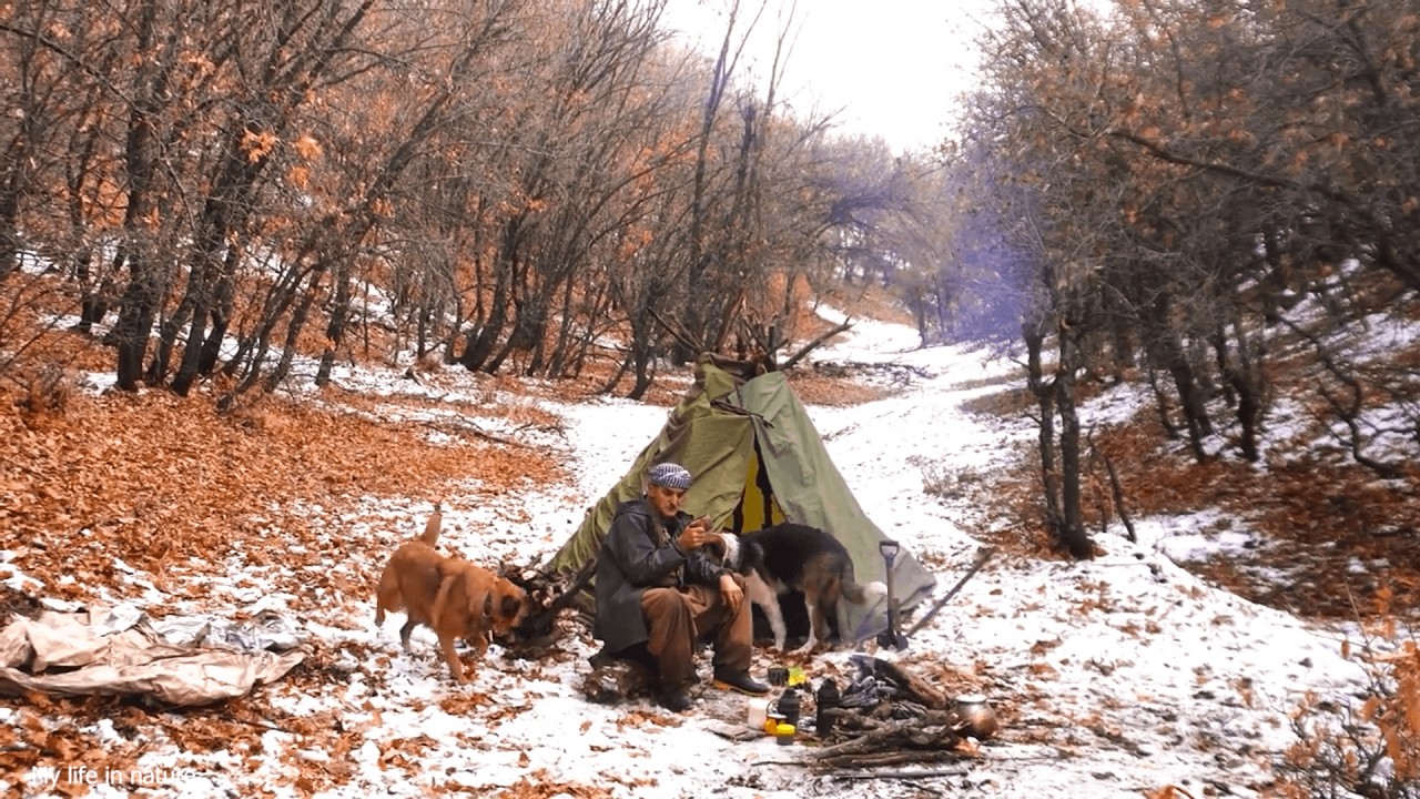 Build a shelter in the woods, with your pet dog, cook a meal, and relax
