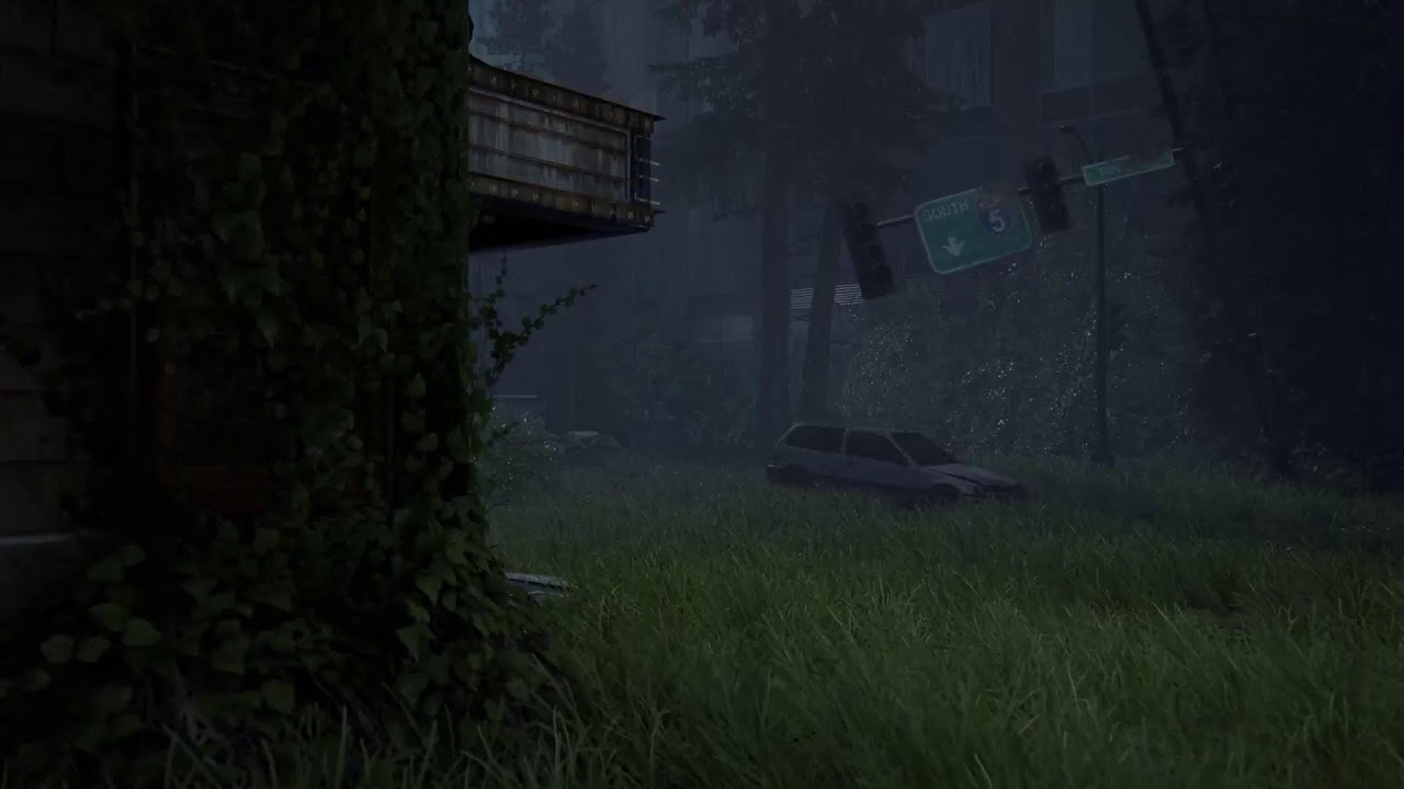TLOU 2 Second play