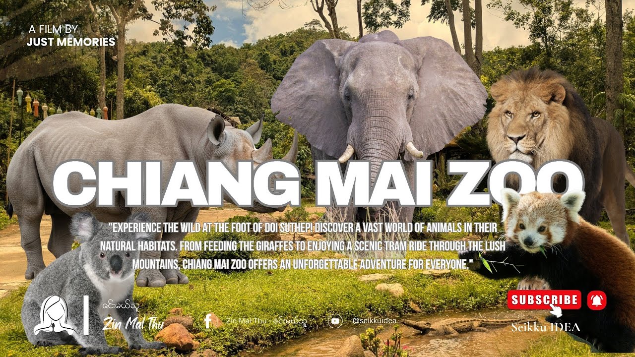 Exploring the Wild at Chiang Mai Zoo!