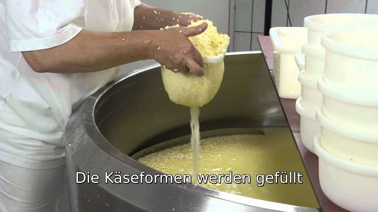 Rohmilchkäse vom Hennehof aus Trendelburg / Hessen: Von der Kuh zum Käse