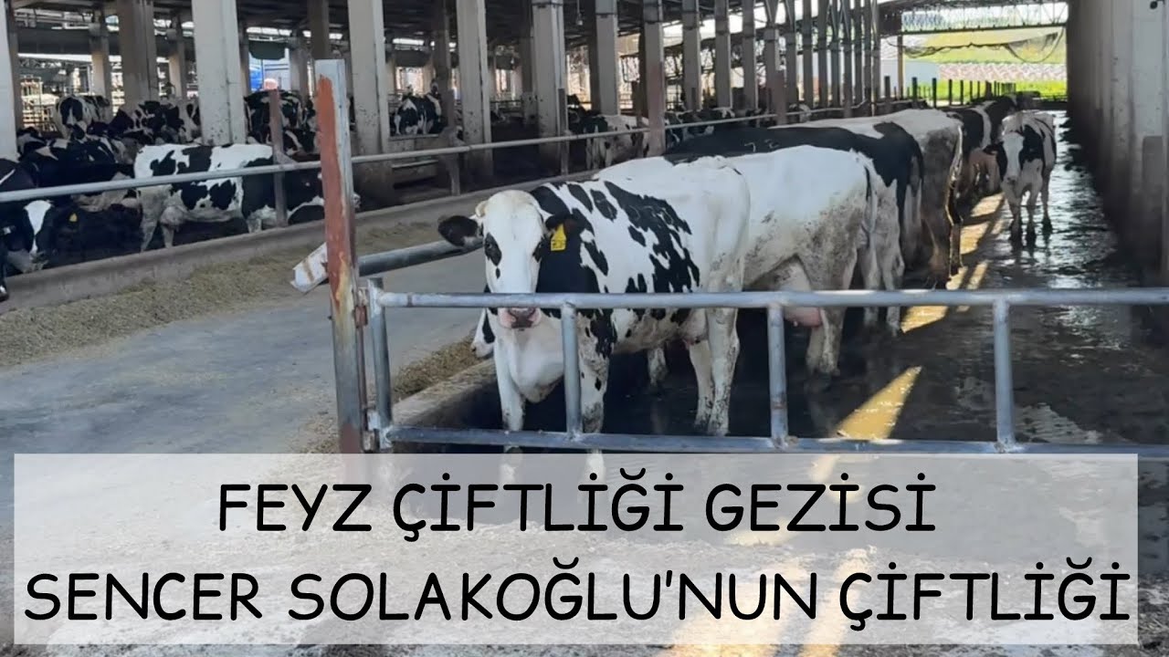 ÇİFTLİK GEZİSİ (Sencer SOLAKOĞLU) FEYZ ÇİFTLİĞİ