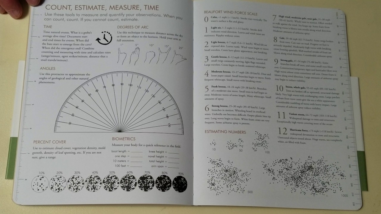 John Muir Laws sketchbook review