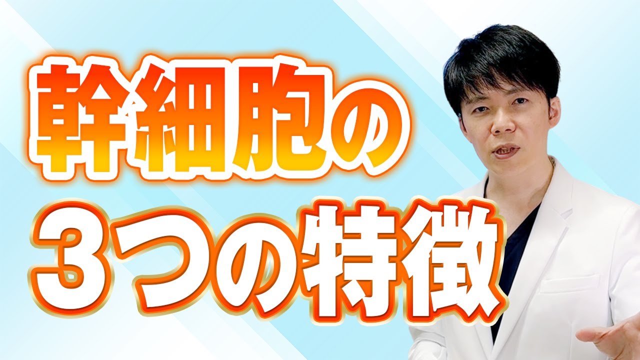 幹細胞３つの特徴