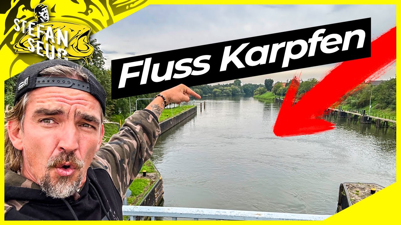 FLUSS KARPFEN | Auf der JAGD nach wilden Fischen | Mein Hausfluss der Neckar