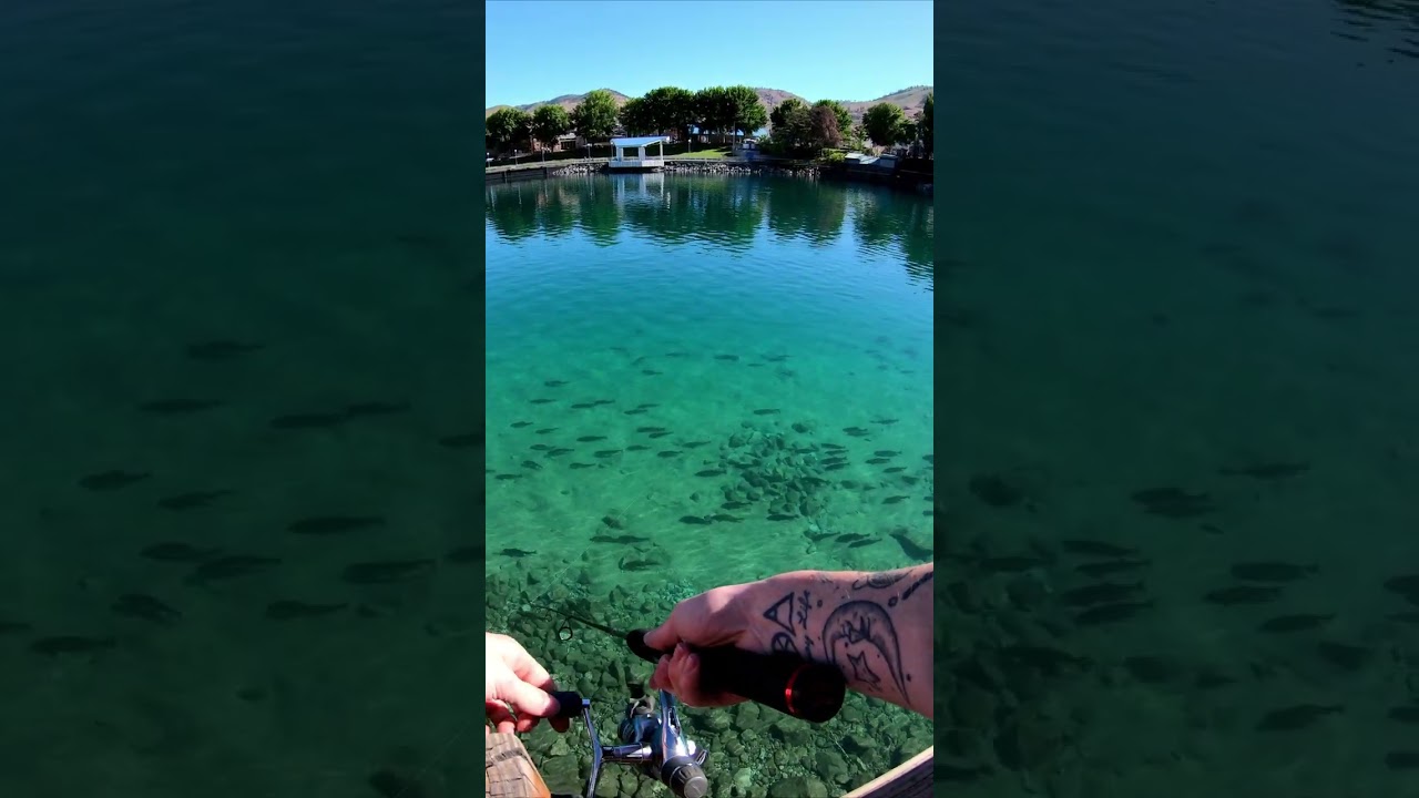 Fishing in CRYSTAL CLEAR Water