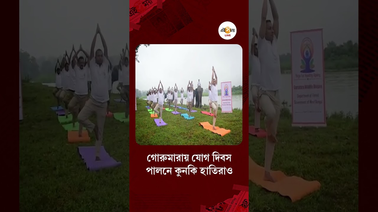International Yoga Day 2026 । গোরুমারায় যোগ দিবস পালন কুনকি হাতি নিয়ে । Ei Samay