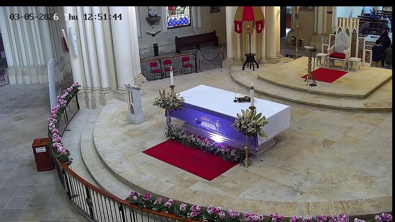 Transmisión Eucaristía Basílica de Lourdes   2024