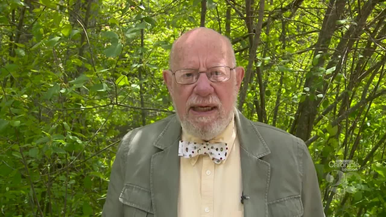 Fritz Wetherbee: Fern's Bird Bath