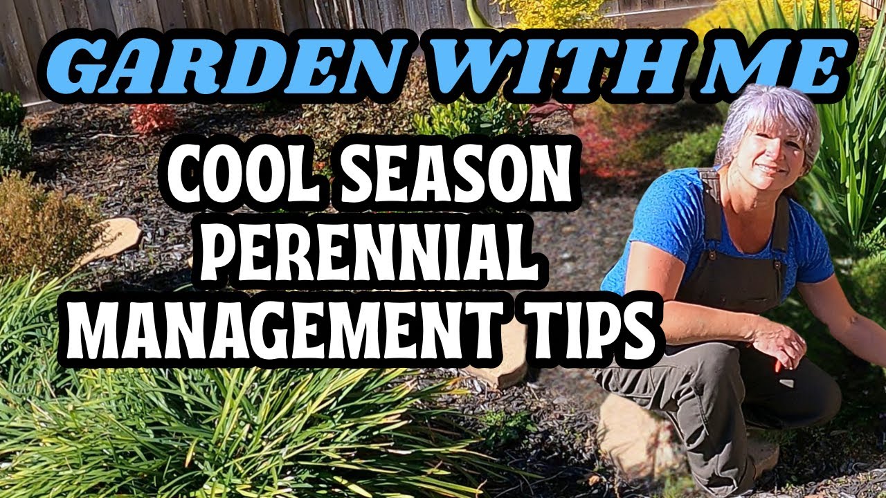 Perennials with Partial Freeze Damage (Don't Just Cut Everything!!)