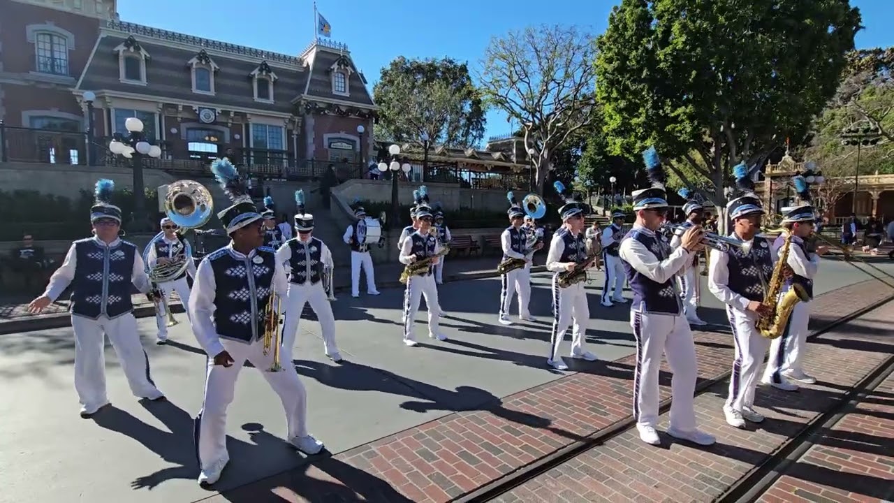 Disneyland Band 