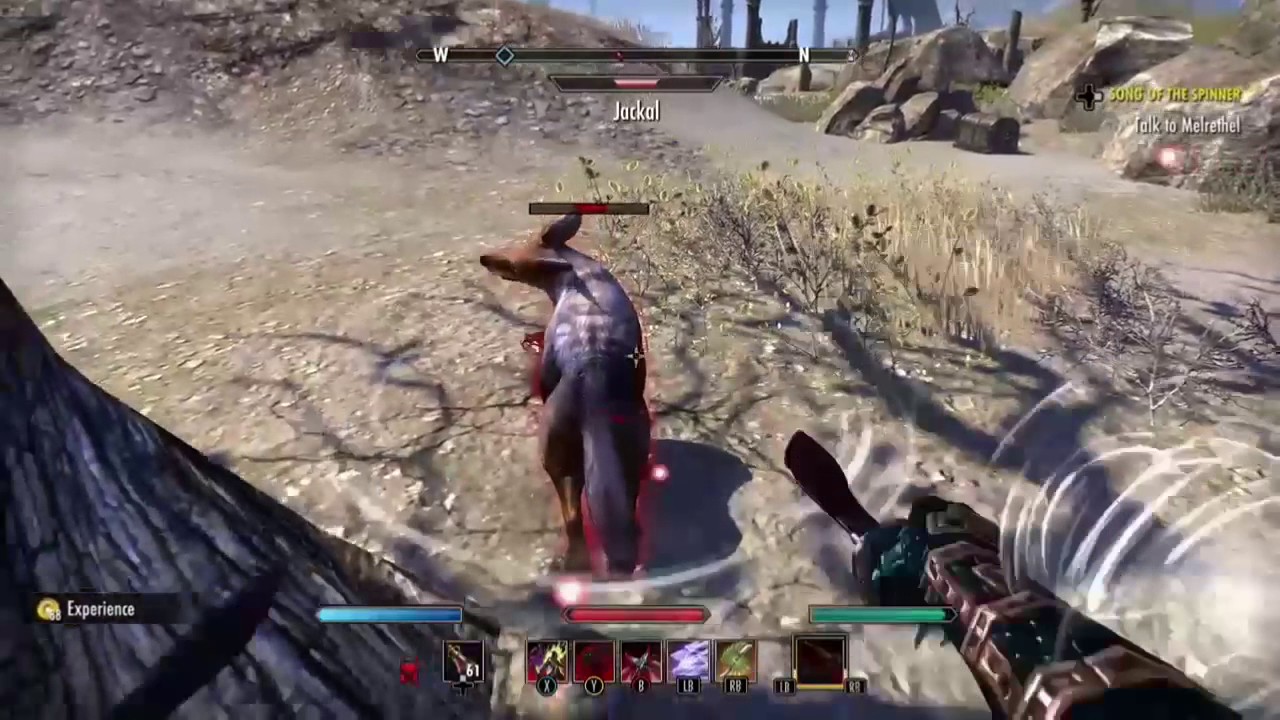 ESO Homestead Basics
