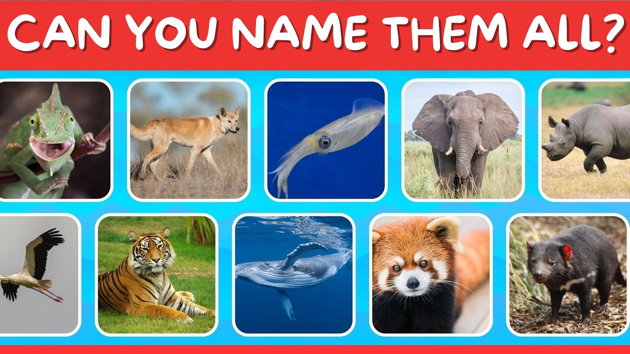 Guess the Animal by Picture in 5 Seconds! | Medium Quiz