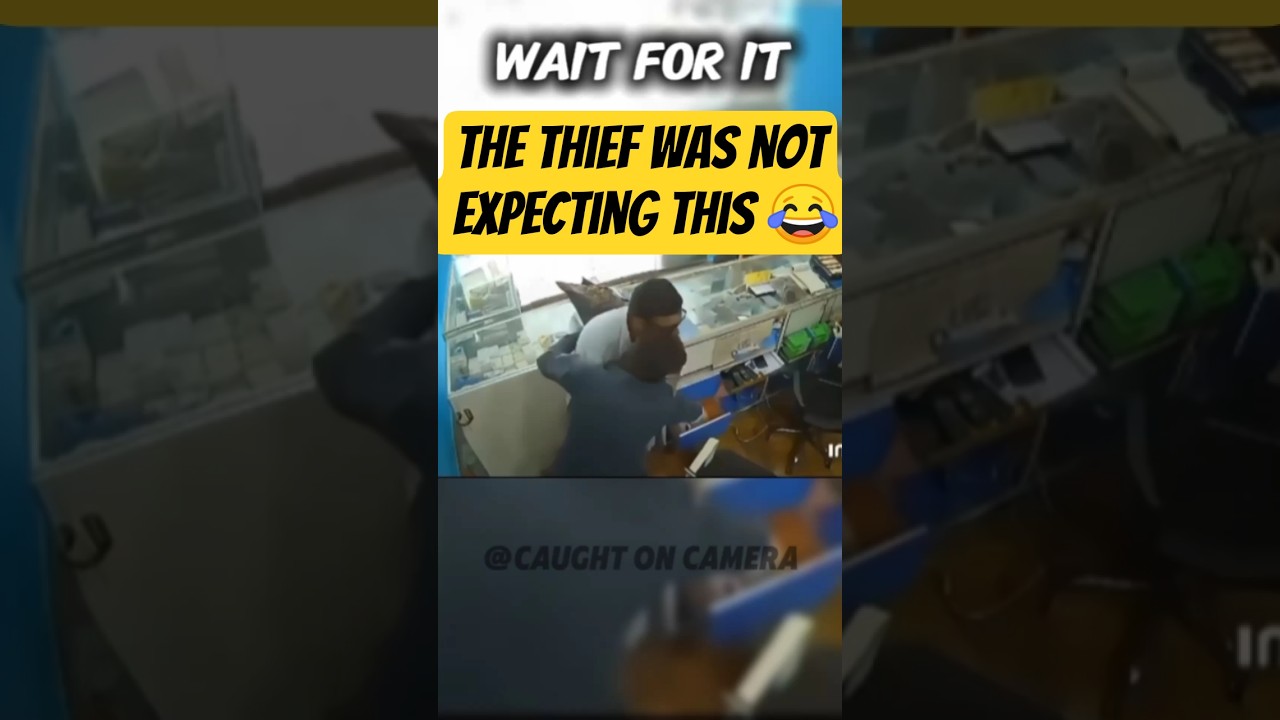Thief was not expecting this😂 #caughtoncamara #funny #fightcam #caughtoncctvcamera #crime #gonewrong
