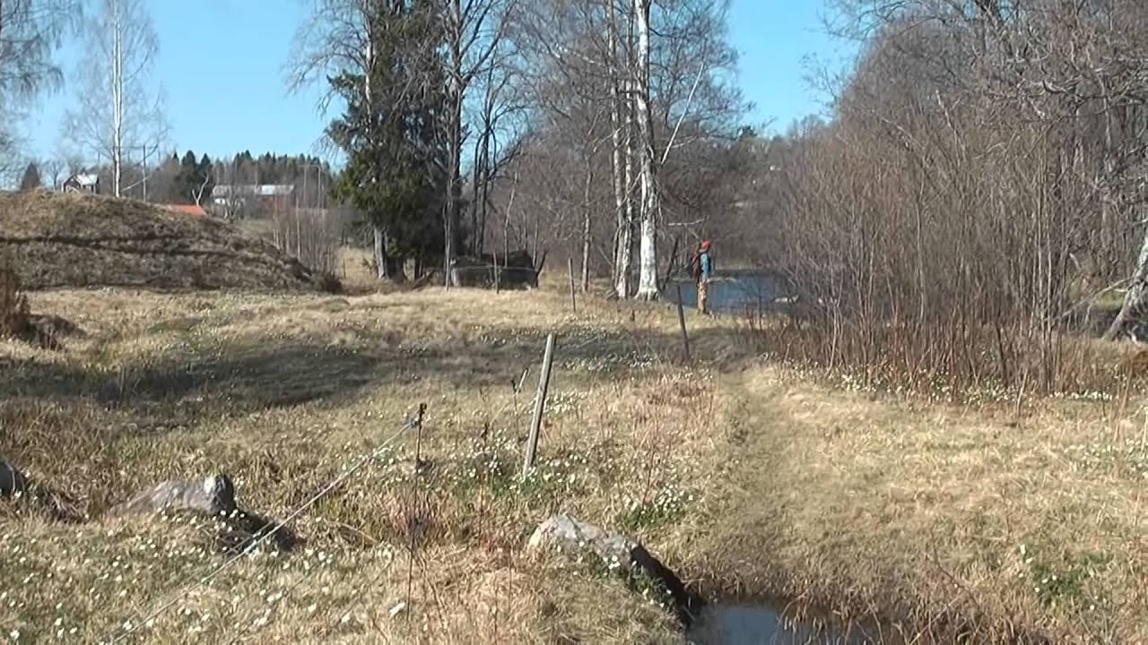 Osman och jag vid Hedströmmen.