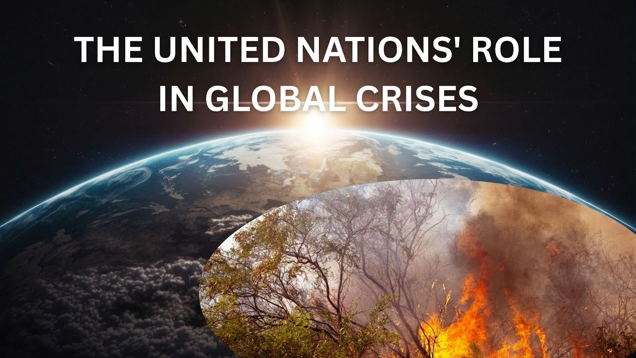THE UNITED NATIONS' ROLE IN GLOBAL CRISES