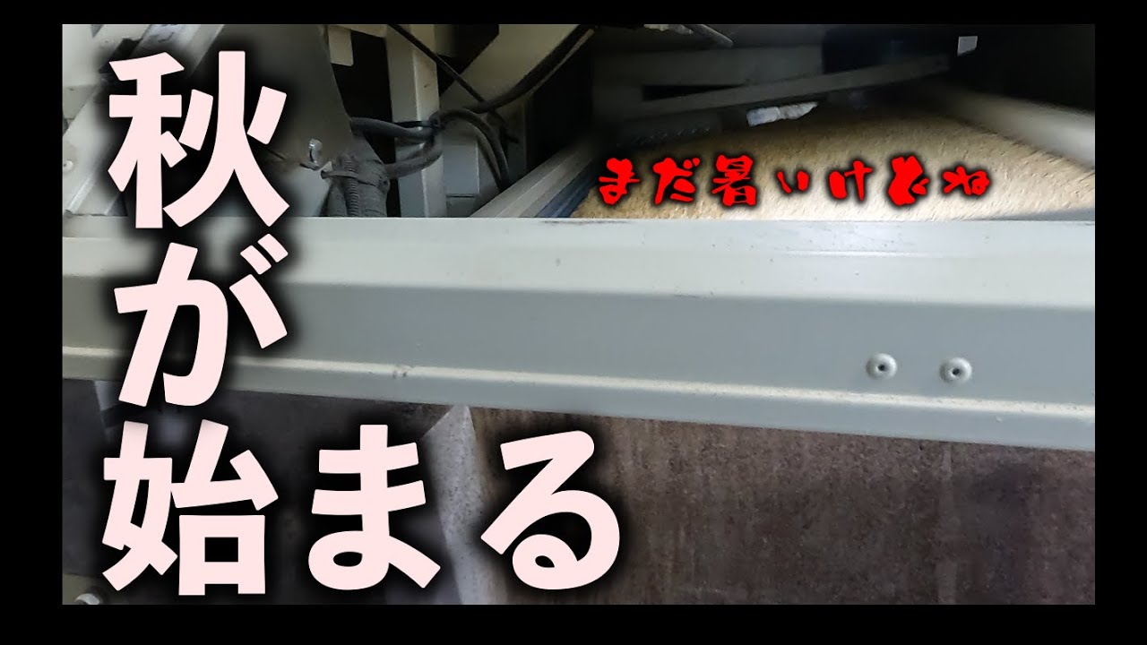 籾摺り調製作業をやる！