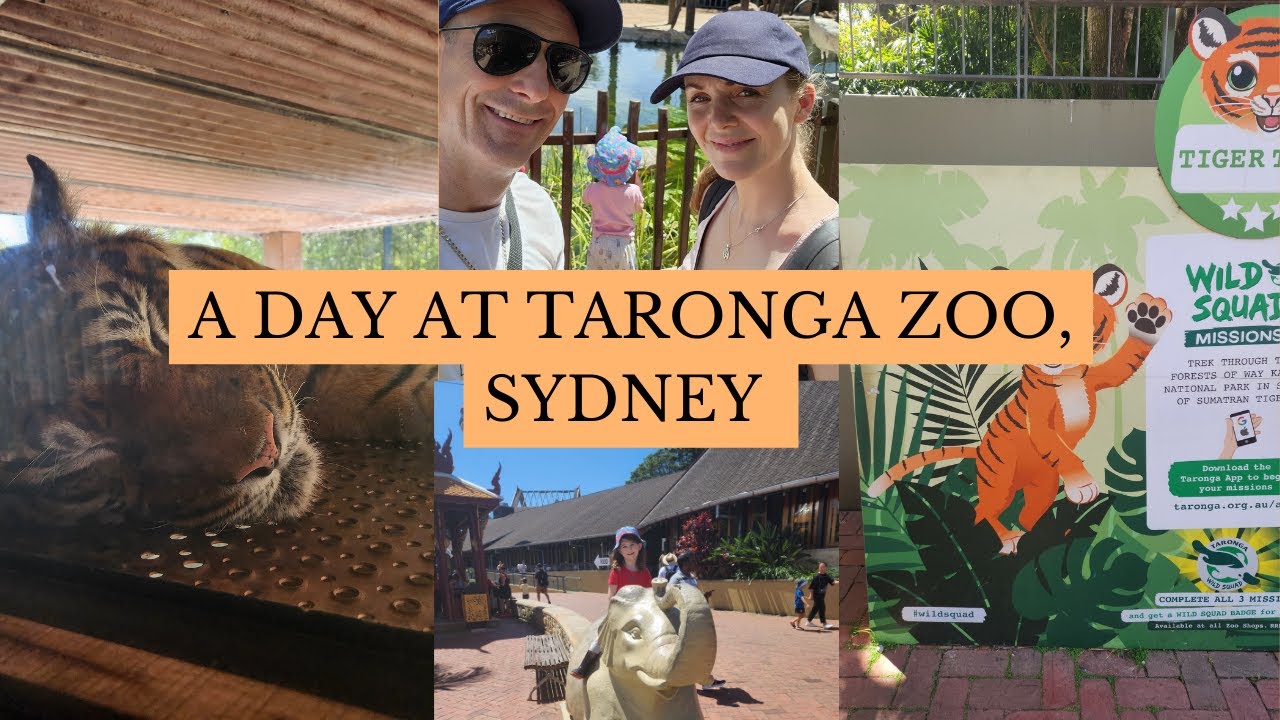 Taronga Zoo, Sydney, Australia, A Day out with the kids