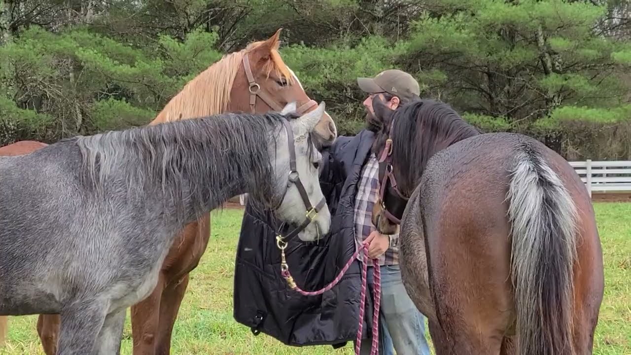 2020 Memory Lane - Our first blanketing