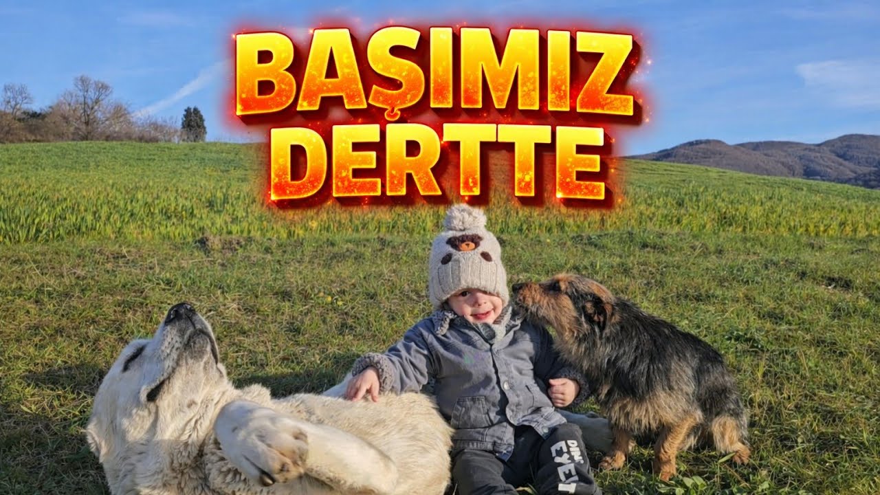 KORKTUĞUM BAŞIMA GELDİ, ŞİMDİ YANDIK ! - SİBAYLA ŞİMDİ NE YAPACAĞIZ ? 