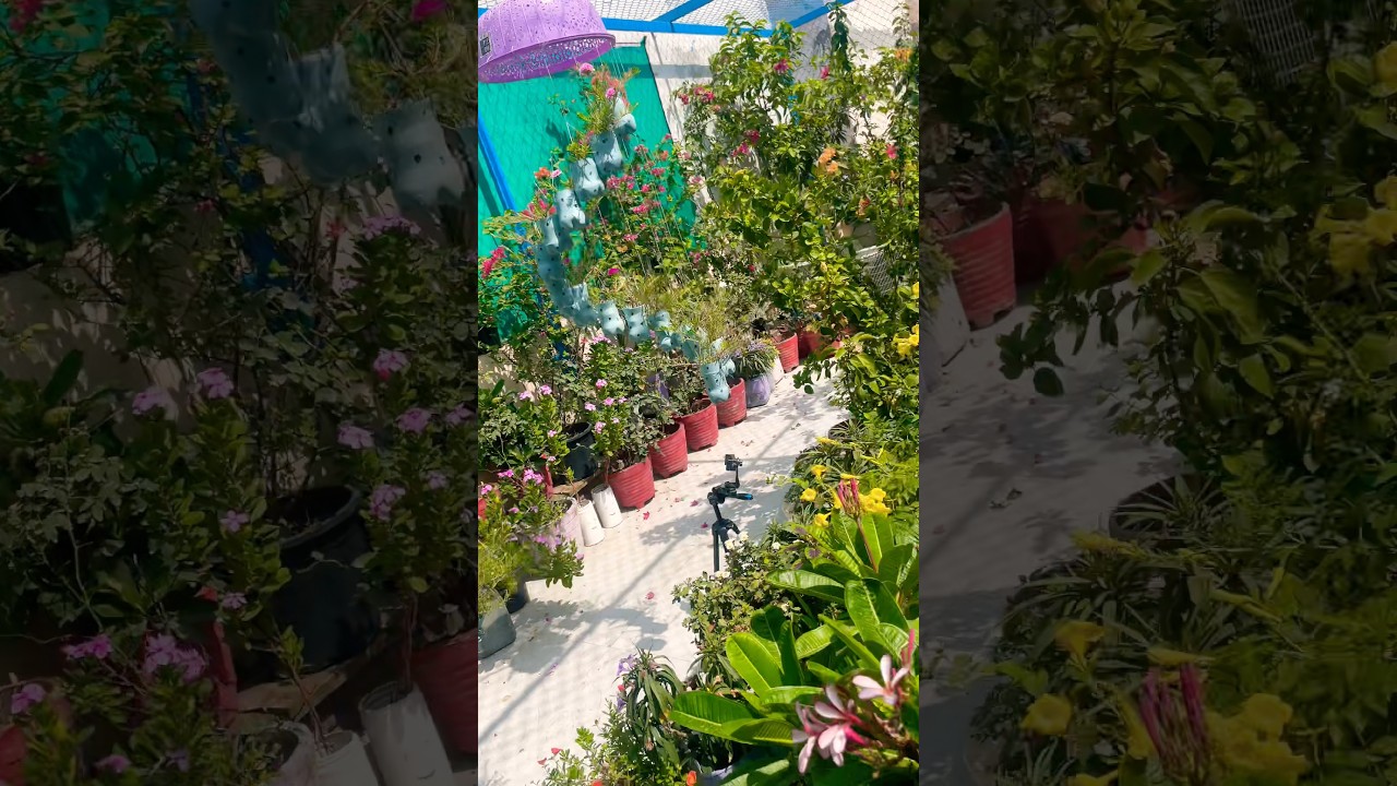 The beauty of rural life 🟢 #villagelife #flowers #ytshorts