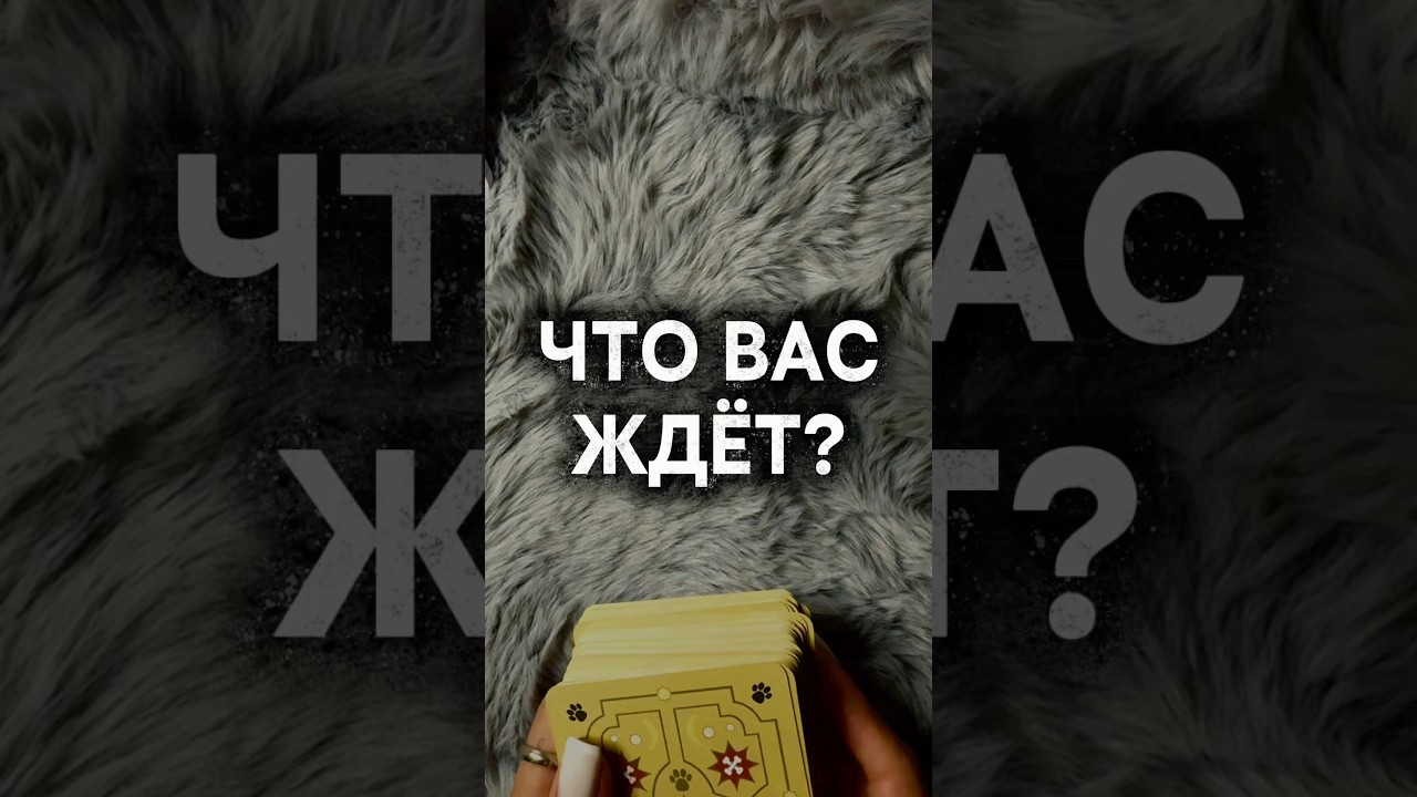Что вам не скажет никто #таро #таротчтение #гадание