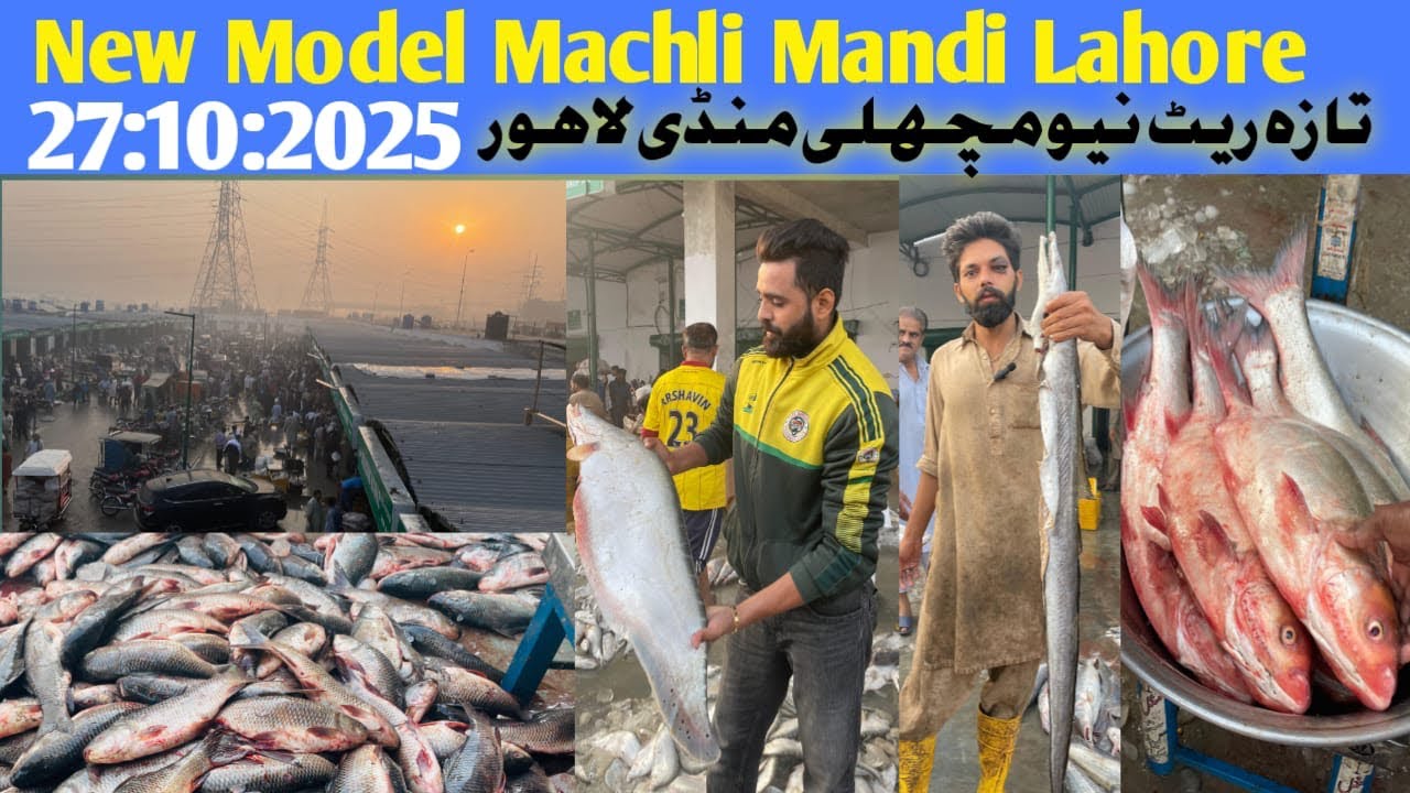 Update New Model Machli Mandi Lahore |Machli Mandi lahore |New Fish market lahore |Pakistan market
