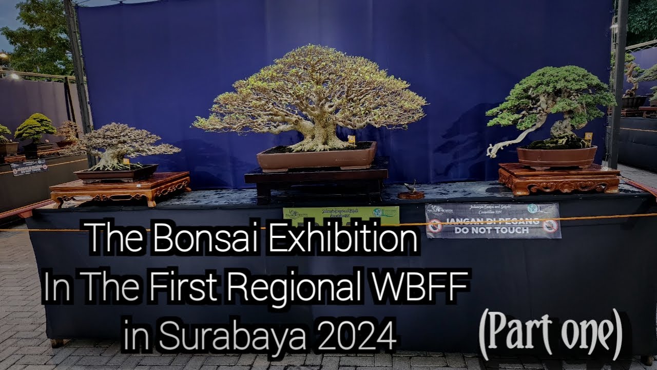 The WBFF/ President Cup Bonsai Surabaya (part one)