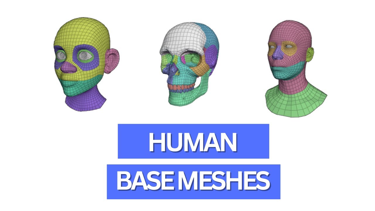 How to use Blenders new human base meshes for 3d character design