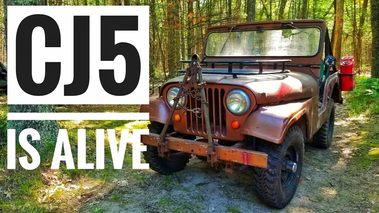 Заведётся ли? | Jeep CJ5 1965 года — Ржавеет в лесу