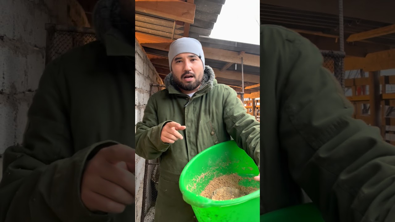 Ерекше ХОББИ 🔥