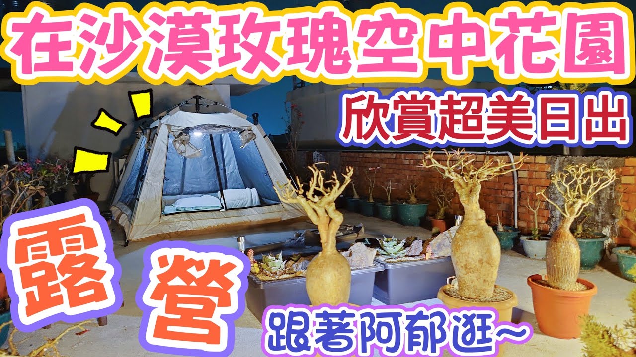 [跟著阿郁玩]在沙漠玫瑰空中花園露營，欣賞超美日出