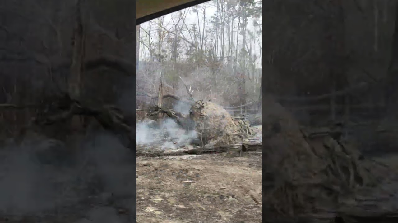 Local wild fire