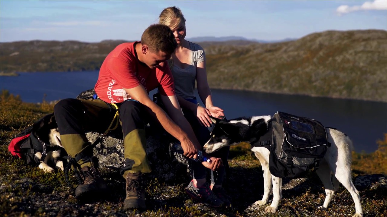 Kirkenes Snowhotel - Husky hike to Namdalen