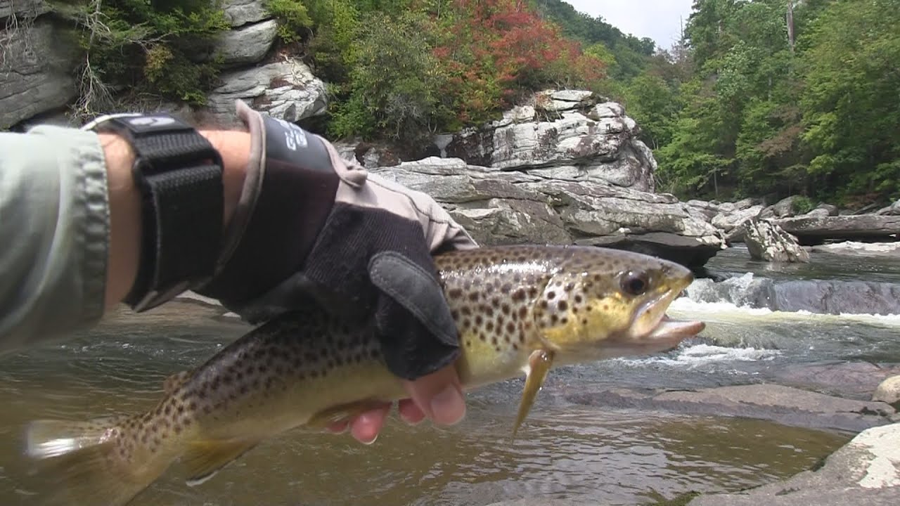 Fishing the Linville River Gorge, NC