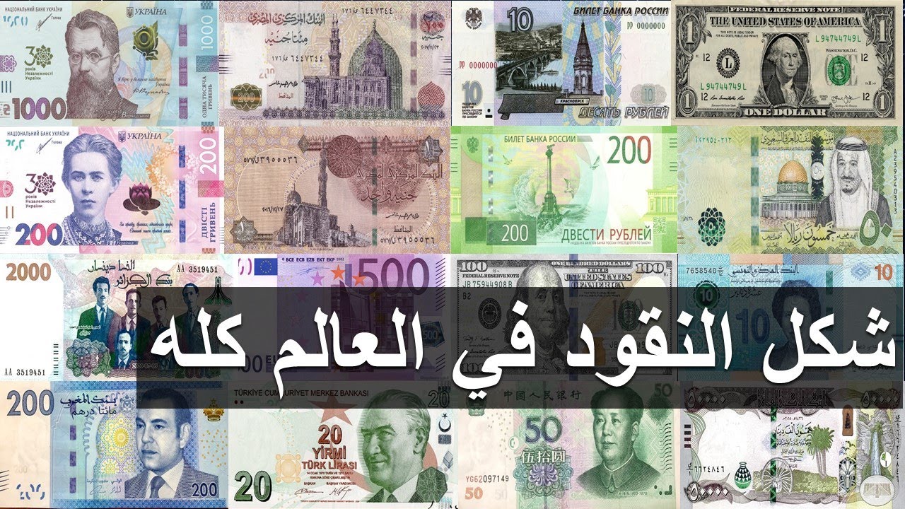 شكل النقود في العالم كله | متحف العملات العالميه