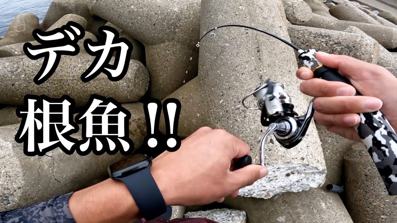 やっとこさ釣れたぜ！デカ根魚！【塩サバで穴釣り】